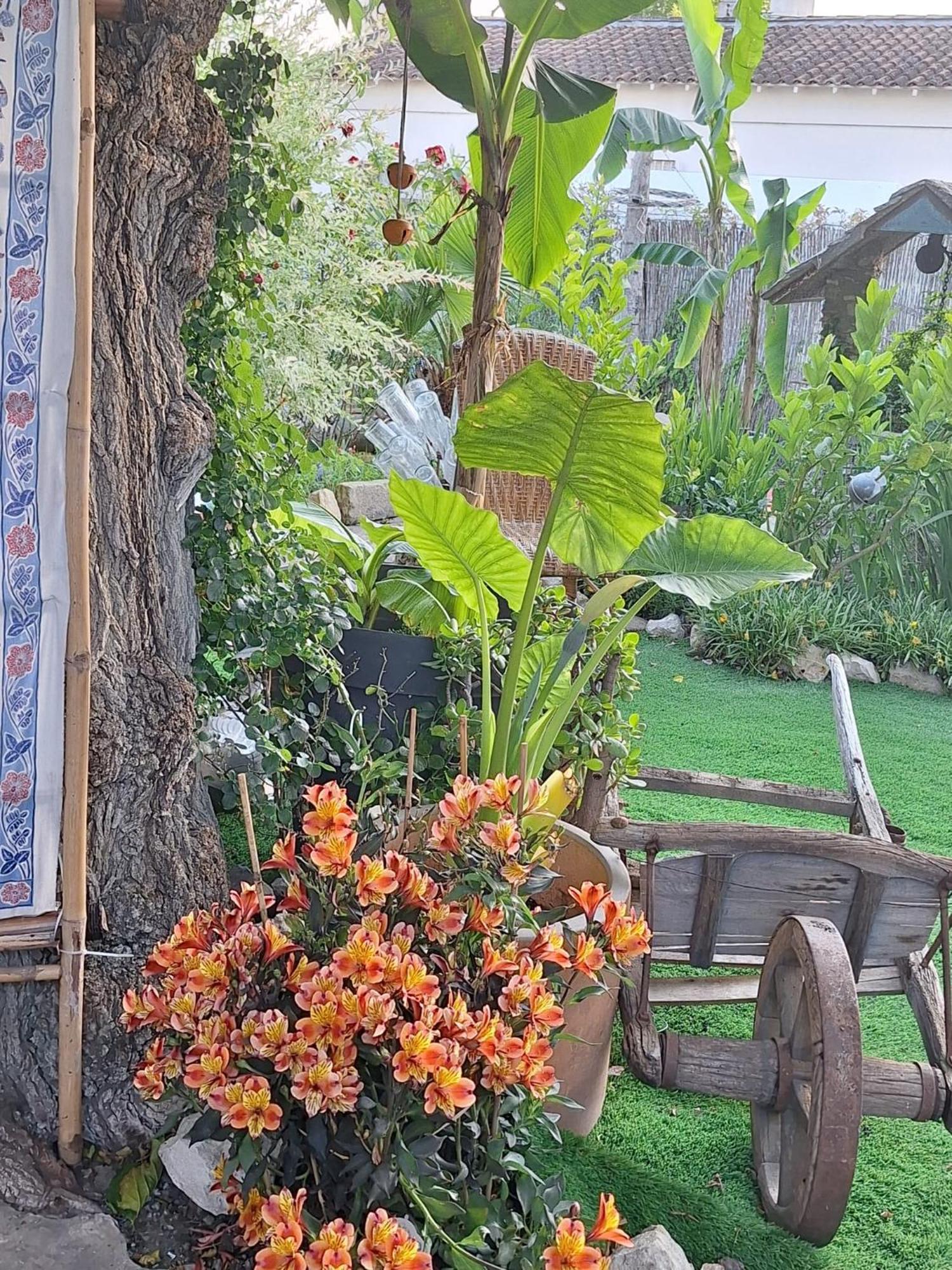 Site Paradis Rue Colibri Avignon Eksteriør billede